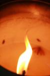 <img100*0:stuff/z/73640/candle%2520reference/i1257800882_2.jpg>