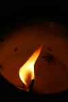 <img100*0:stuff/z/73640/candle%2520reference/i1257800883_7.jpg>