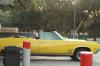 <img100*0:stuff/z/73640/car%2520reference.1/i1263431920_10.jpg>