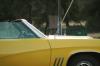 <img100*0:stuff/z/73640/car%2520reference.1/i1263431920_19.jpg>
