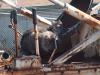 <img100*0:stuff/z/73640/cats%2520reference.5/i1264880948_1.jpg>
