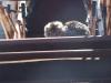 <img100*0:stuff/z/73640/cats%2520reference.5/i1264880949_7.jpg>
