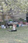 <img100*0:stuff/z/73640/cats%2520reference.5/i1264889621_1.jpg>