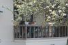 <img100*0:stuff/z/73640/cats%2520reference.5/i1264889621_3.jpg>