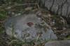 <img100*0:stuff/z/73640/cats%2520reference.5/i1264889623_18.jpg>
