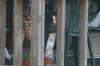 <img100*0:stuff/z/73640/cats%2520reference.5/i1264889623_20.jpg>
