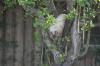 <img100*0:stuff/z/73640/cats%2520reference.5/i1264890920_18.jpg>