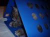 <img100*0:stuff/z/73640/cats%2520reference.5/i1265927436_7.jpg>