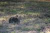 <img100*0:stuff/z/73640/cats%2520reference.5/i1275867179_5.jpg>