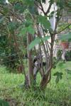 <img100*0:stuff/z/73640/cats%2520reference.6/i1279305584_23.jpg>