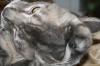 <img100*0:stuff/z/73640/cats%2520reference/i1259820259_18.jpg>