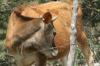 <img100*0:stuff/z/73640/cow%2520reference.2/i1265077613_5.jpg>