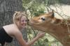 <img100*0:stuff/z/73640/cow%2520reference.2/i1265077992_12.jpg>