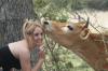 <img100*0:stuff/z/73640/cow%2520reference.2/i1265077992_14.jpg>