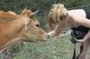 <img100*0:stuff/z/73640/cow%2520reference.2/i1265079311_16.jpg>