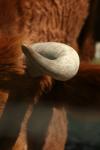 <img100*0:stuff/z/73640/cow%2520reference.3/i1275105078_8.jpg>