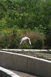 <img100*0:stuff/z/73640/crane.1/i1277869881_13.jpg>