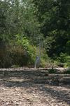 <img100*0:stuff/z/73640/crane.1/i1277869883_16.jpg>