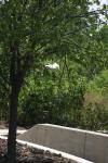 <img100*0:stuff/z/73640/crane.1/i1277869883_17.jpg>