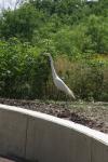 <img100*0:stuff/z/73640/crane.1/i1277871170_16.jpg>