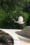 <img100*0:stuff/z/73640/crane.1/i1277872655_8.jpg>