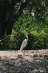 <img100*0:stuff/z/73640/crane.1/i1277910805_14.jpg>