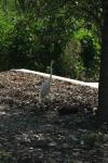 <img100*0:stuff/z/73640/crane.1/i1277915950_5.jpg>
