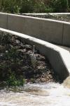 <img100*0:stuff/z/73640/crane.1/i1277917453_3.jpg>
