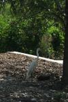 <img100*0:stuff/z/73640/crane.1/i1277917454_4.jpg>