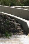 <img100*0:stuff/z/73640/crane.1/i1277943592_2.jpg>