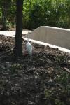<img100*0:stuff/z/73640/crane.1/i1277943593_3.jpg>