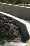 <img100*0:stuff/z/73640/crane.1/i1277943596_7.jpg>