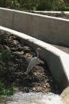 <img100*0:stuff/z/73640/crane.1/i1277943602_15.jpg>
