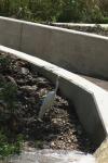 <img100*0:stuff/z/73640/crane.1/i1277943605_19.jpg>