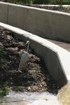 <img100*0:stuff/z/73640/crane.1/i1277944521_1.jpg>