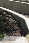<img100*0:stuff/z/73640/crane.1/i1277944524_4.jpg>