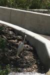 <img100*0:stuff/z/73640/crane.1/i1277944524_5.jpg>