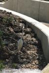 <img100*0:stuff/z/73640/crane.1/i1277944528_10.jpg>