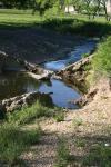 <img100*0:stuff/z/73640/creek%2520ref.1/i1278635816_3.jpg>