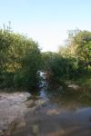 <img100*0:stuff/z/73640/creek%2520ref.1/i1278828376_3.jpg>