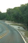 <img100*0:stuff/z/73640/deer%2520reference.1/i1262672160_10.jpg>