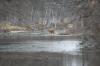 <img100*0:stuff/z/73640/deer%2520reference.2/i1264967304_3.jpg>