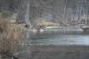 <img100*0:stuff/z/73640/deer%2520reference.2/i1264967304_8.jpg>