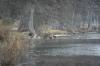 <img100*0:stuff/z/73640/deer%2520reference.2/i1264971524_8.jpg>