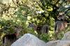 <img100*0:stuff/z/73640/deer%2520reference.2/i1265245552_20.jpg>