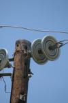 <img100*0:stuff/z/73640/electrical/i1262483436_16.jpg>