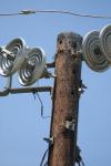 <img100*0:stuff/z/73640/electrical/i1262483436_18.jpg>
