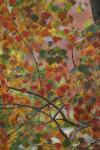 <img100*0:stuff/z/73640/fall%2520colors/i1264883227_22.jpg>