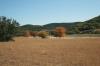 <img100*0:stuff/z/73640/fall%2520colors/i1264957497_5.jpg>