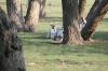 <img100*0:stuff/z/73640/goat%2520reference/i1264923460_4.jpg>